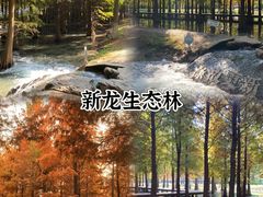 -红梅公园