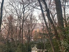 -灵谷景区