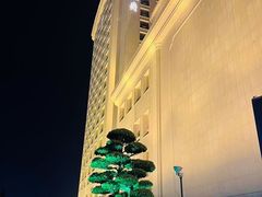 -上海白金汉爵大酒店(大零号湾国际会议中心店)