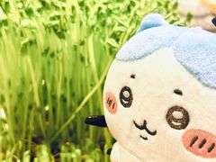 -海底捞火锅(王府井银泰in88店)