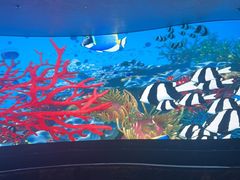 -唐宫足道·SPA·住宿24H会所(木渎店)