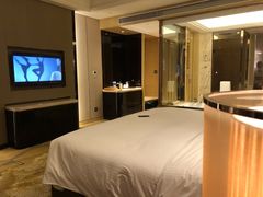 -长沙富力万达文华酒店