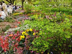 -上海共青森林公园