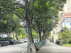 -saigon saigon | 西贡西贡(滨北店)
