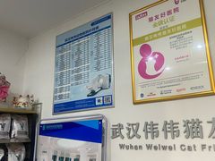 -伟伟宠物医院·瑞派猫友好医院·猫科(光谷店)