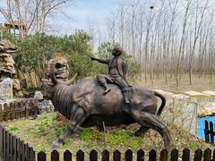 -合肥滨湖国家森林公园