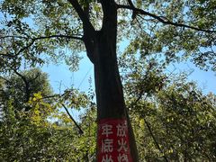 -青龙山国家森林公园
