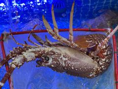 -驻海渔市(置信店)