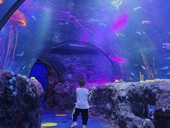 -沈阳海洋探索中心