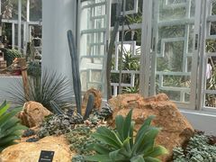 -深圳仙湖植物园