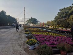 -沈阳植物园