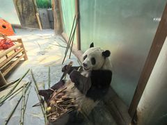 -青藏高原野生动物园