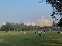 -万绿园