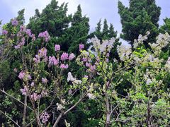 -白塘生态植物园