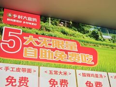 -乡村大盘鸡(商城路总店)