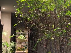 -森SPA·泰式按摩·精油Massage(宝安中心店)