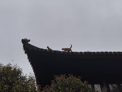 -柳莺湖上·湖景餐厅·江南菜(西湖店)