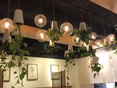 店内布置-柴务处·柴犬主题狗咖