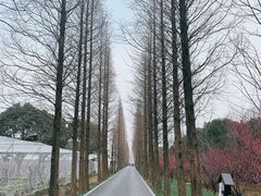 -广富林郊野公园