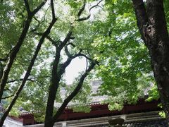 -宁波市保国寺古建筑博物馆