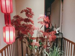 -鸽子窝(青塔店)