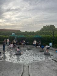 点击看大图 -季高兔窝窝亲子园(上海薰衣草公园店)