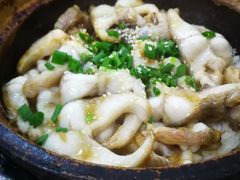 -红星光发煲仔饭(大石街店)
