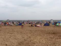 -碧海金沙