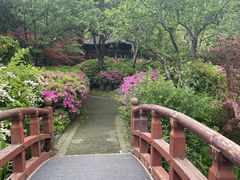 -红梅公园