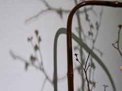 大堂-茶是一枝花泡茶店