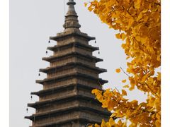 -北京石刻艺术博物馆(五塔寺)