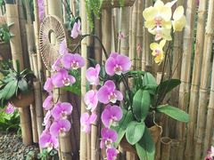 -石家庄市植物园