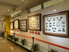-上海昆虫博物馆