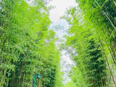 -蝴蝶泉公园