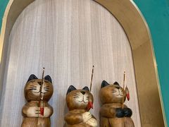 -飞行喵MR PILOT|猫舍·猫咖(静安大融城店)