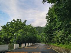 -沣峪口