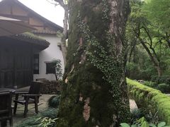 -法云古村