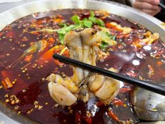 -老表牌·蛙蛙鸡冷锅鱼(成都东站店)