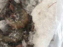 -沈阳水产批发市场