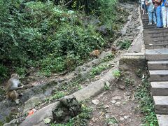 -黔灵山公园