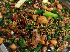 -铁山坪森林公园