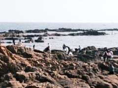 -青岛第二海水浴场