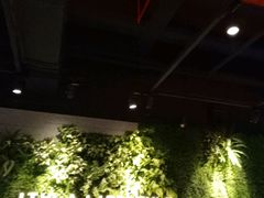 -威尔仕健身·游泳(KING88店)