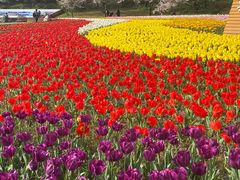 -苏州上方山国家森林公园
