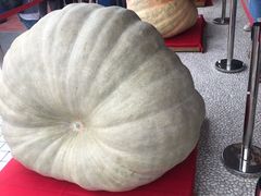 -淡水老街