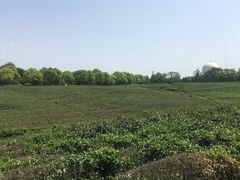 -南京市江宁方山