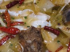 -九毛九西北菜(大东海店)