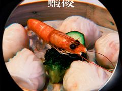 -和苑·精致粤菜(珠江新城店)