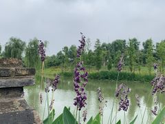 -嬉乐湾休闲旅游区