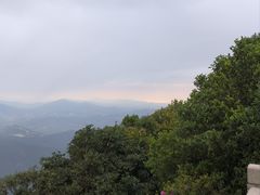 -梧桐山风景名胜区